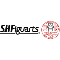 S.H.Figuarts(真骨彫製法) (15)